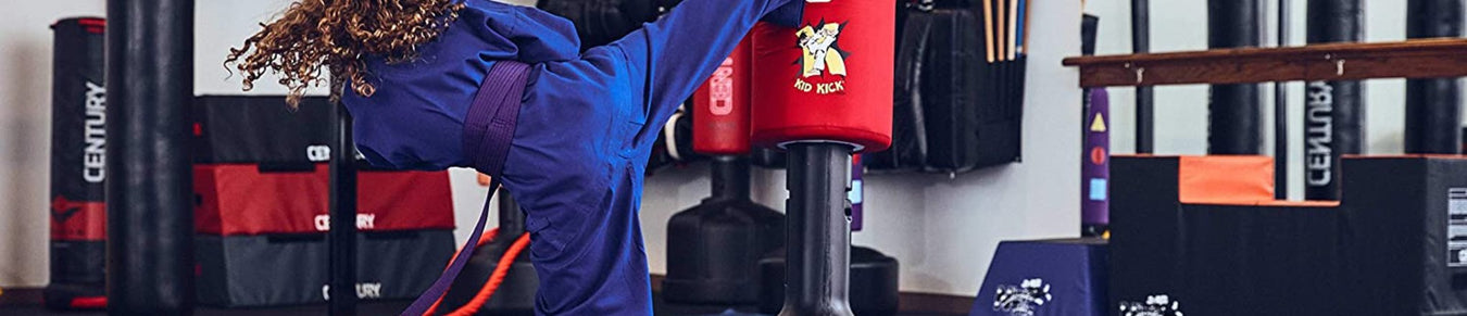 YOUTH PUNCHING BAGS & GLOVES